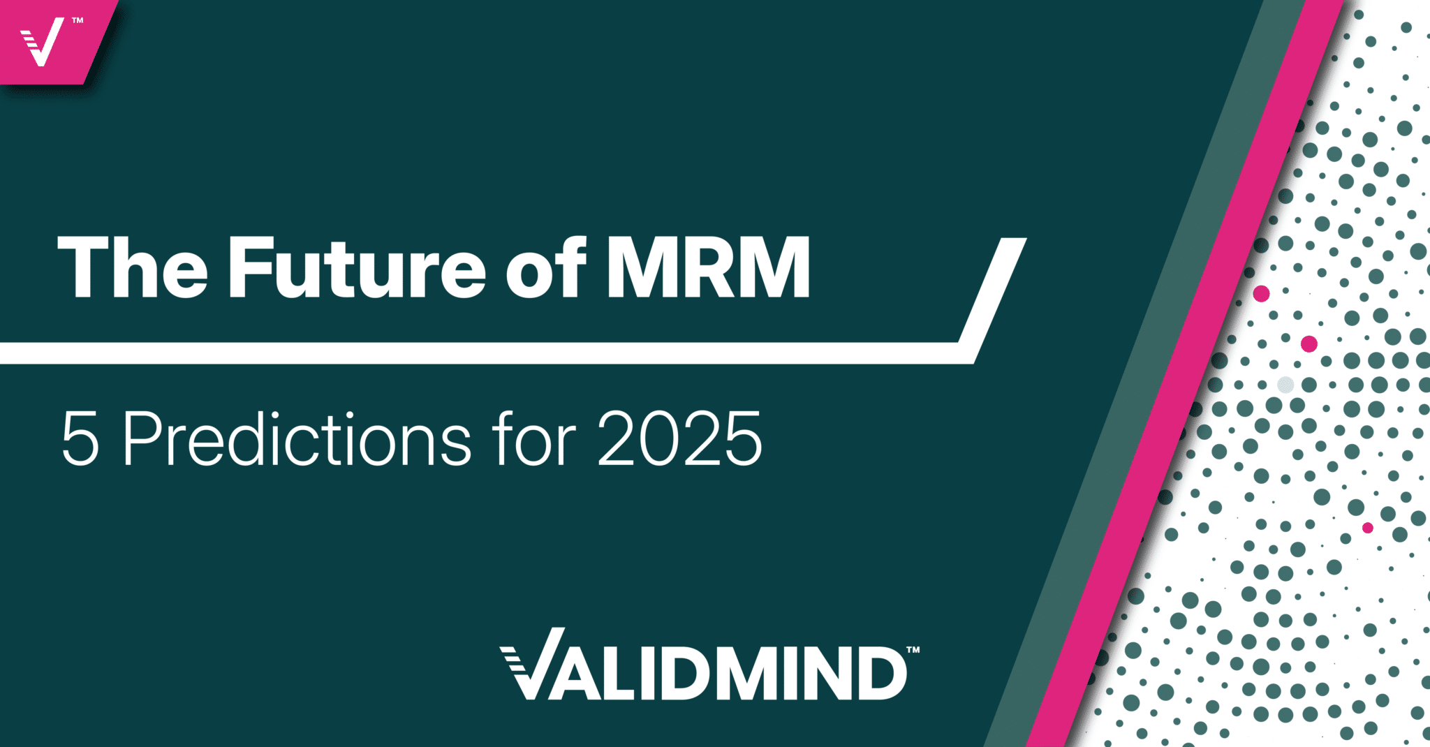 The future of model risk management