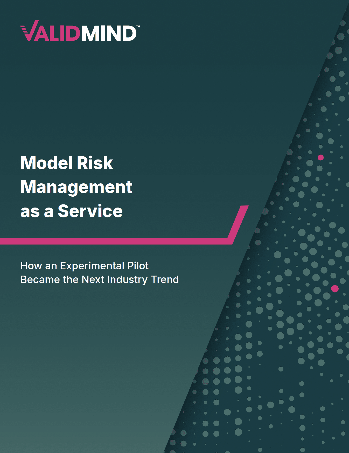 Model Risk Management as a Service